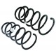ESPIRAL TRASERO CHEVROLET OPTRA