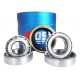 KIT RODAMIENTOS TRASEROS KIA RIO CON ESTOPERA