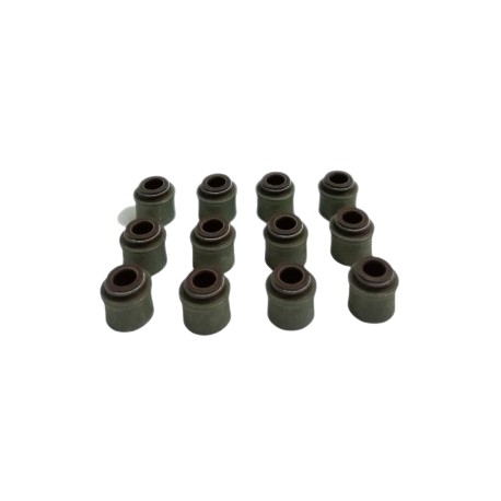 Goma Gorros Valvula Mazda Bt50 B2600 Motor 2.6 Paq12