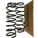 Espiral Trasero Para Aveo 1.6 Lt Speed / 04-15
