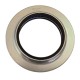 Rodamiento Base Amortiguador Delantero Mazda 3 Ford Focus 09