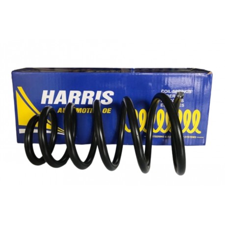 Espiral Fiat Palio Fire Siena Weekend Adventure Trasero