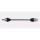 TRIPOIDE DERECHO COPA CAJA SENTRA B13 B14 B15 25X25 91-2006