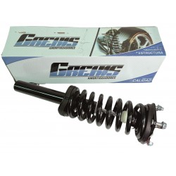 ENSAMBLE DELANTERO AMORT ESPIRAL BASE 4RUNNER 03-09