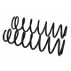 Espiral Trasero Corolla New Sensation 2003 - 2008 PAR