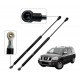 GATO DE CAPOT JEEP GRAND CHEROKEE WK 2006-2010