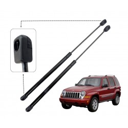 GATO DE CAPOT JEEP GRAND CHEROKEE WK 2006-2010