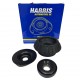 BASE DE AMORTIGUADOR GM AVEO SPARK DELANTERO (CHATA)