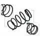 Espiral Trasero Nissan Sentra B15