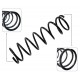 Espiral Trasero Ford Festiva 92-00 Venirauto Turpial 05-10