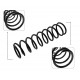 Espiral Delantero Ford Festiva /turpia El Par