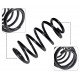 Espiral Trasero Jeep Grand Cherokee Wk 4X4 2006-2010