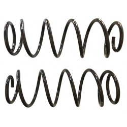 Espiral Trasero Nissan Sentra B15