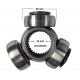 COPA CAJA MITSUBISHI SIGNO 00-06 TRICETA 28 DIENTEX25EXTX41M