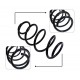 ESPIRAL TRASERO FORD FIESTA 2004-2015