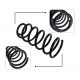 espirales traseros para kia picanto 1.1 2004-2010