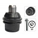 MUÑON SUPERIOR FORD SUPER DUTY 4X2 99-14/E150 E250 Econoline