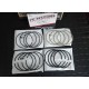 PISTONES CON ANILLOS KIA RIO STYLUS 1.5 - 030-075